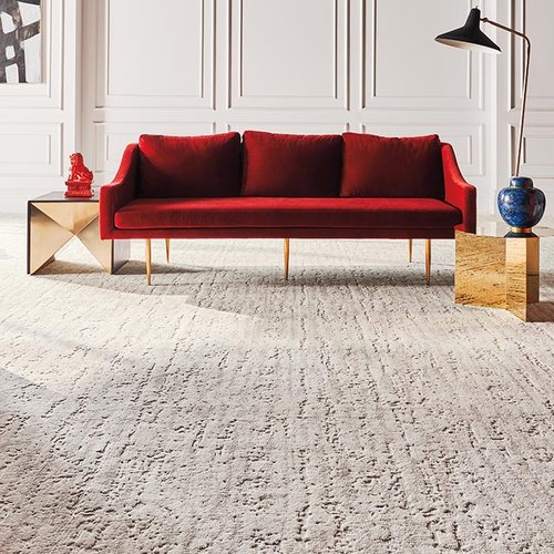 Living Room Pattern Carpet -  CarpetsPlus COLORTILE of Bozeman in Bozeman, MT